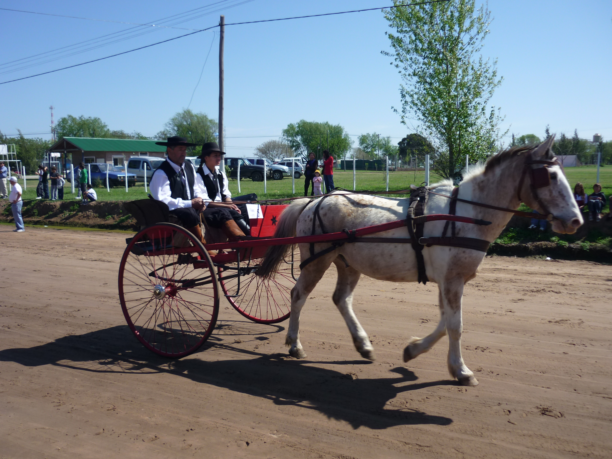 fotos/2010-10-10 - Fiesta del cordero/P1010500.JPG